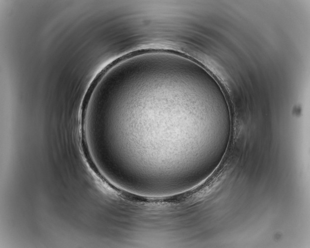X0000099530988200805161207