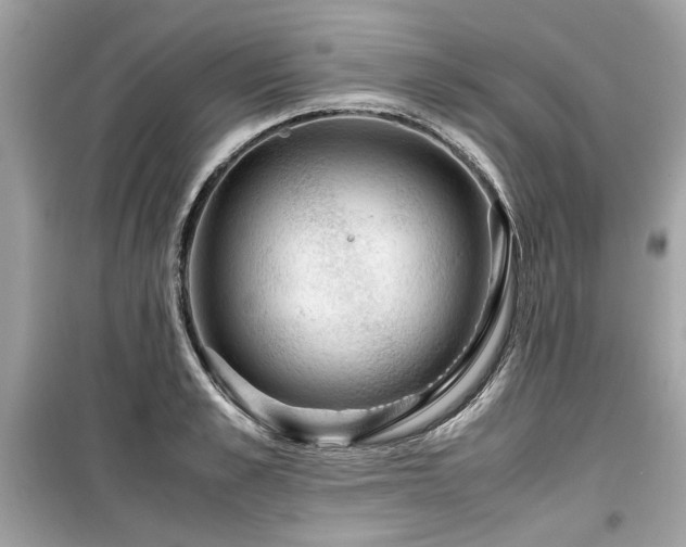 X0000099530989200805161207