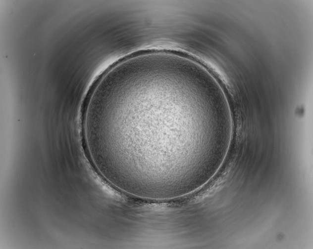 X0000099530990200805161207