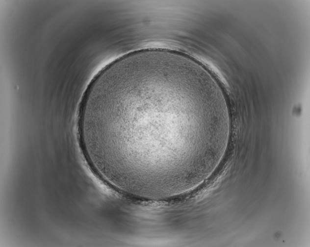 X0000099530991200805161207