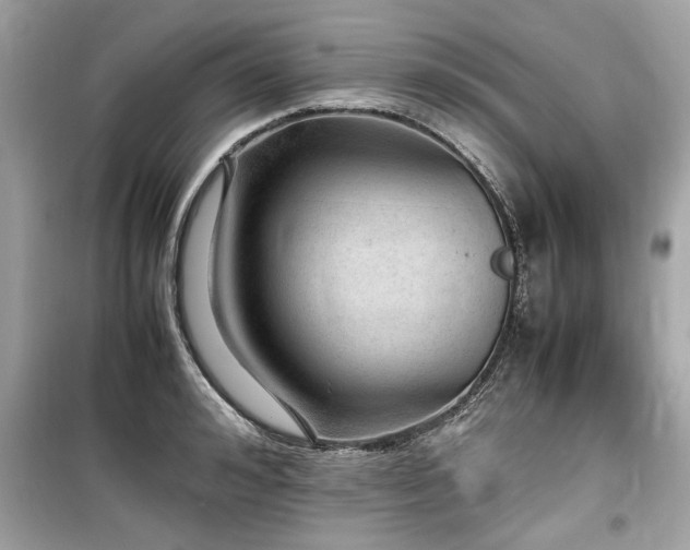 X0000099530992200805161207
