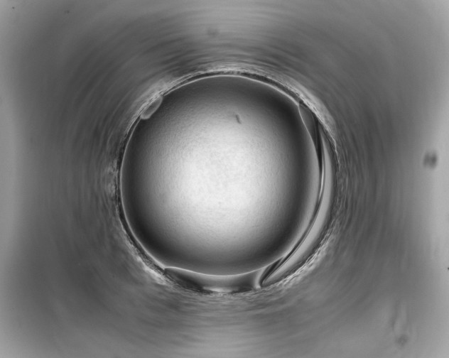X0000099530993200805161207