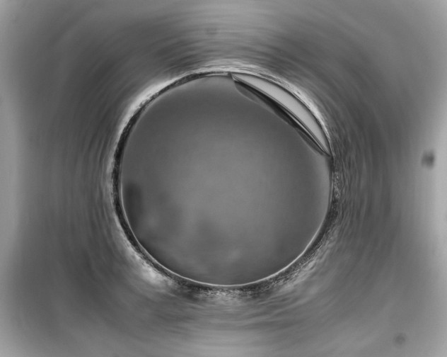 X0000099530995200805161207