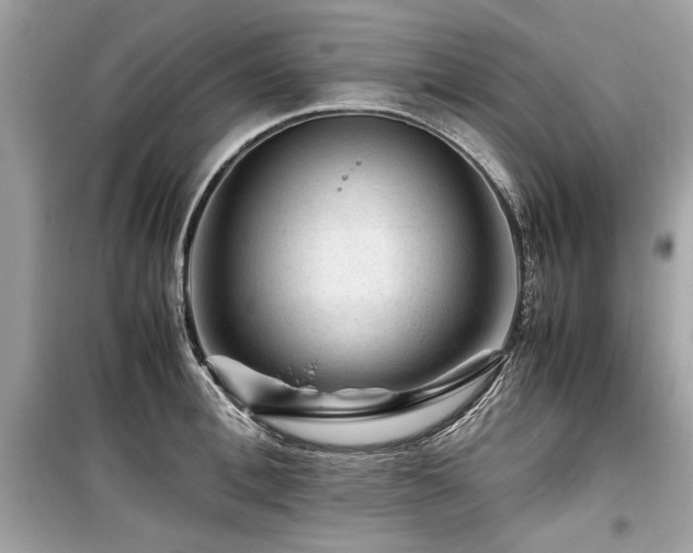 X0000099530996200805161207