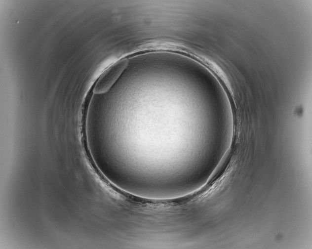 X0000099530997200805161207