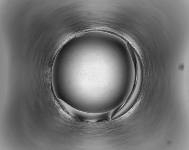 X0000099531001200805161207