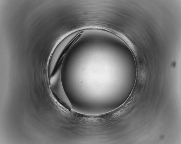X0000099531004200805161207