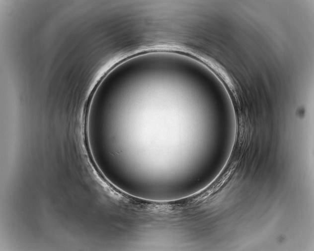 X0000099531006200805161207
