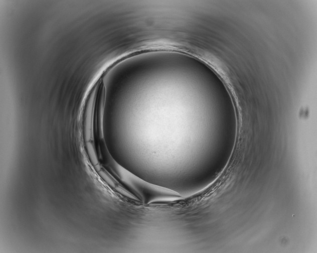 X0000099531008200805161207