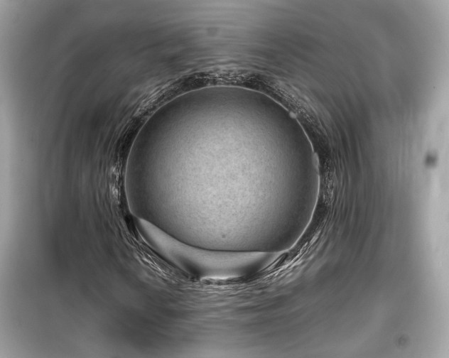 X0000099531010200805161206