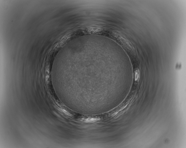 X0000099531011200805161206