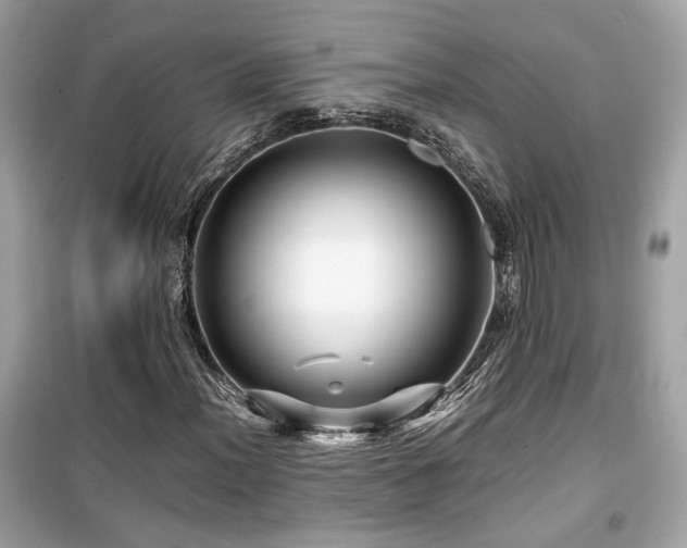 X0000099531012200805161206