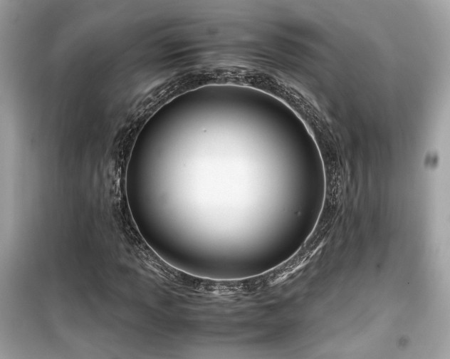 X0000099531013200805161206