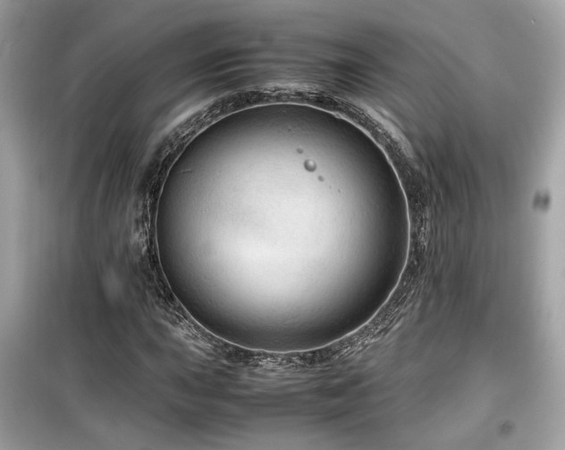 X0000099531015200805161206