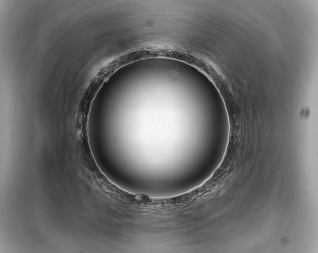 X0000099531016200805161206