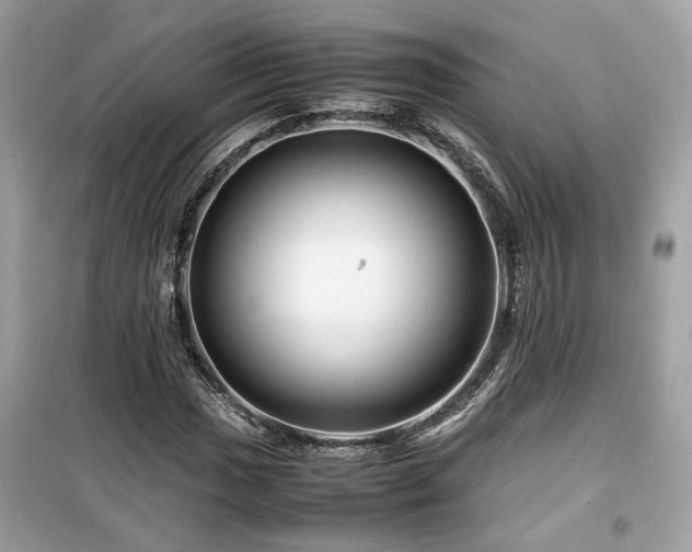 X0000099531017200805161206