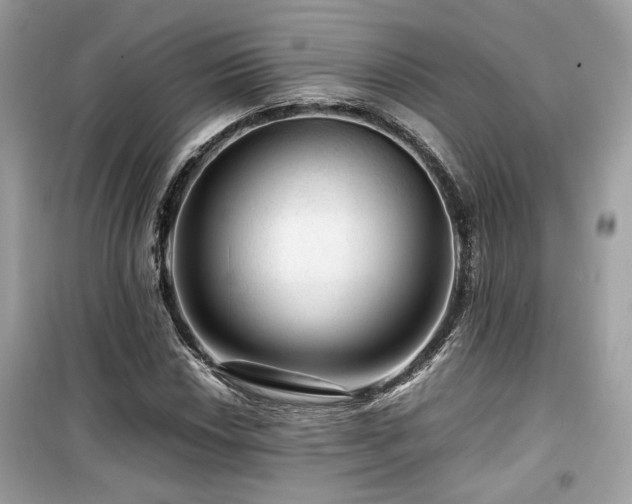 X0000099531018200805161206