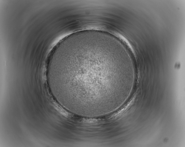 X0000099531019200805161206