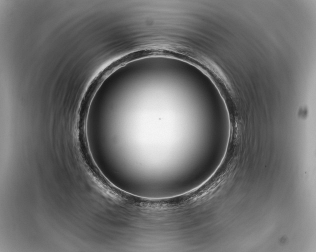 X0000099531020200805161206