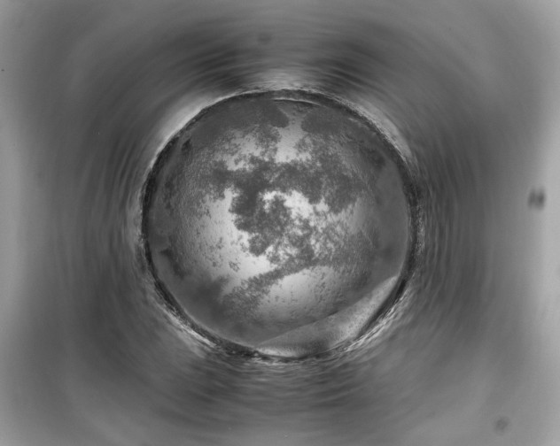 X0000099531023200805161206