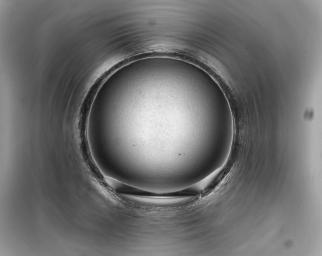 X0000099531026200805161206