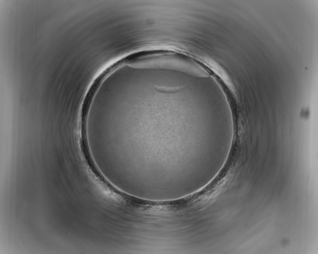 X0000099531028200805161206