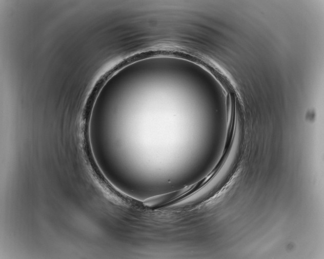 X0000099531029200805161206