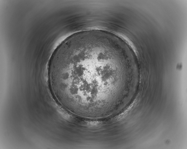 X0000099531031200805161206