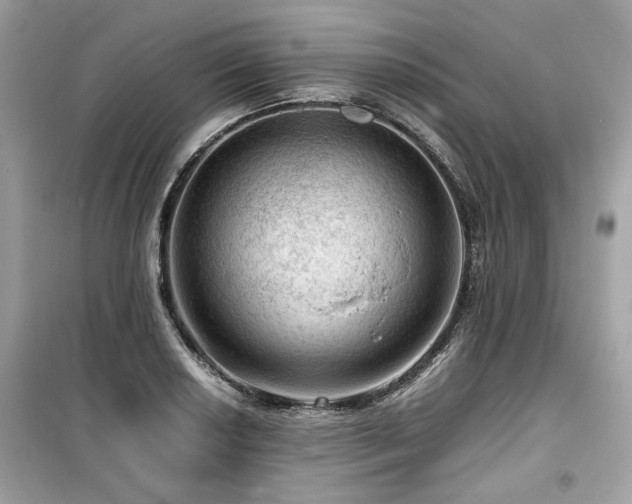 X0000099531034200805161206