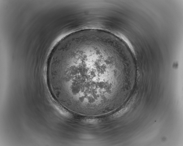 X0000099531035200805161206