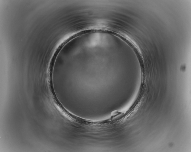 X0000099531037200805161206