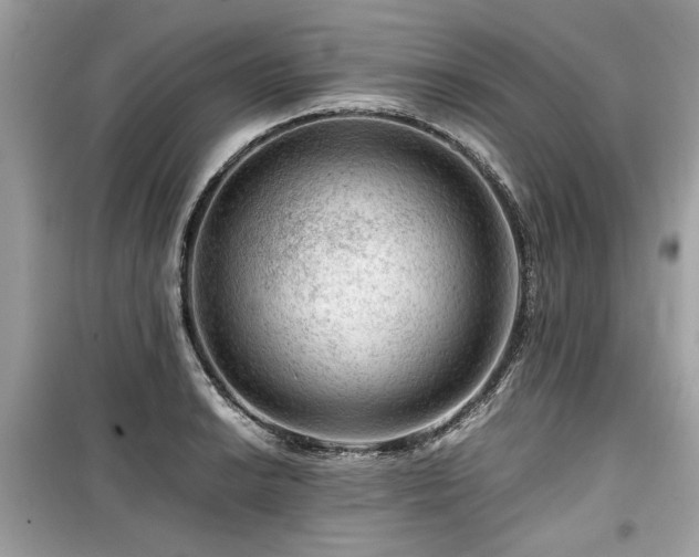 X0000099531038200805161206
