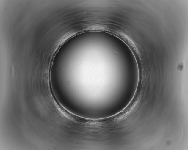 X0000099531041200805161206