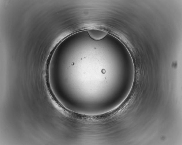 X0000099531042200805161206