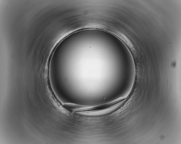 X0000099531044200805161206