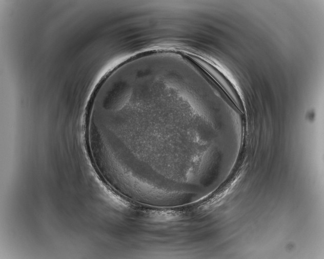 X0000099531045200805161206