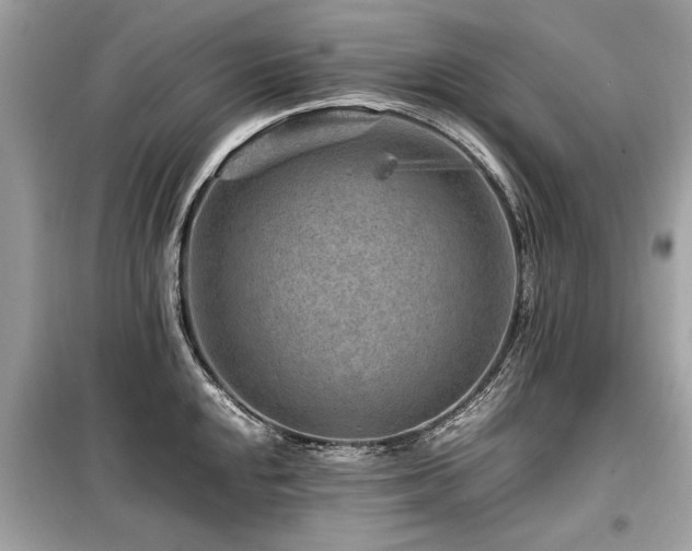X0000099531048200805161206