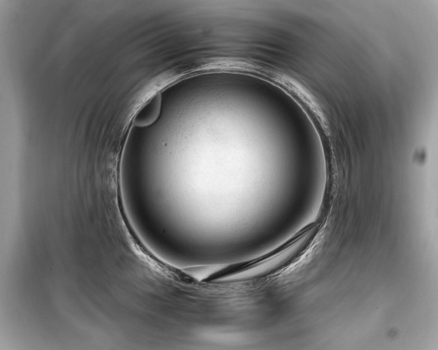 X0000099531049200805161206