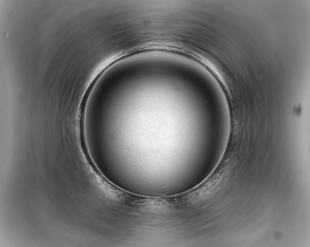X0000099531050200805161207