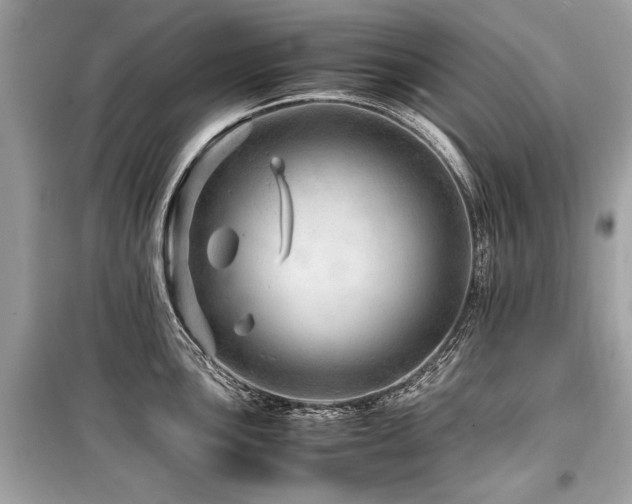 X0000099531051200805161207