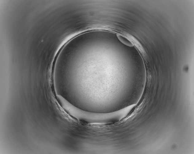 X0000099531052200805161207