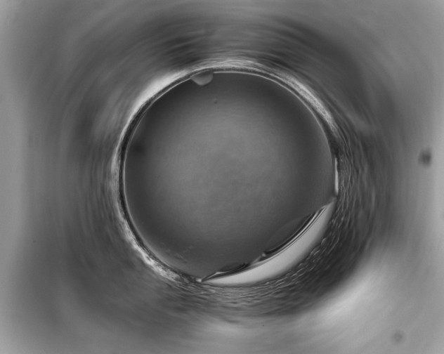X0000099531053200805161207