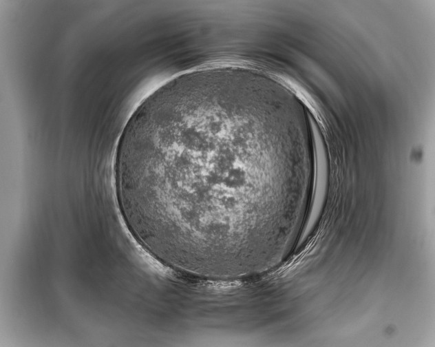 X0000099531055200805161207