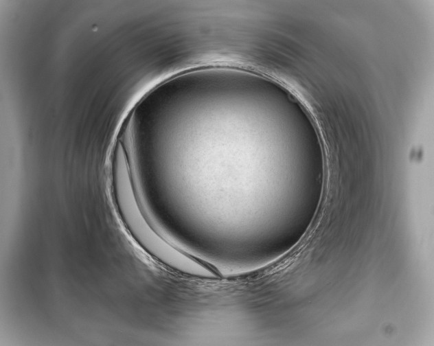 X0000099531056200805161207
