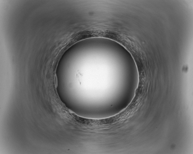 X0000099531057200805161206