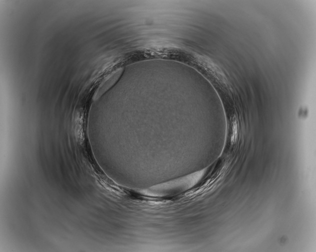 X0000099531060200805161206