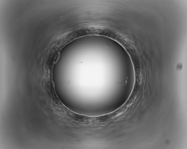 X0000099531061200805161206