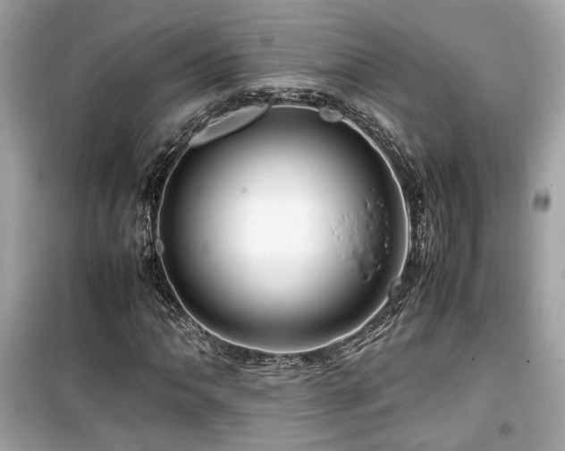 X0000099531062200805161206