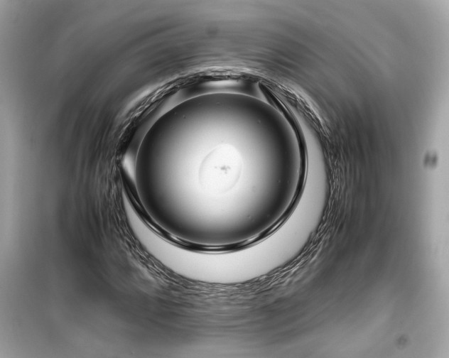 X0000099531064200805161206
