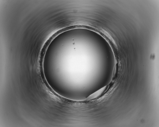 X0000099531068200805161206